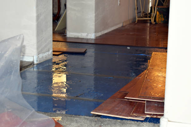 Professional Water Damage Restoration technician working in Ellendale, ND